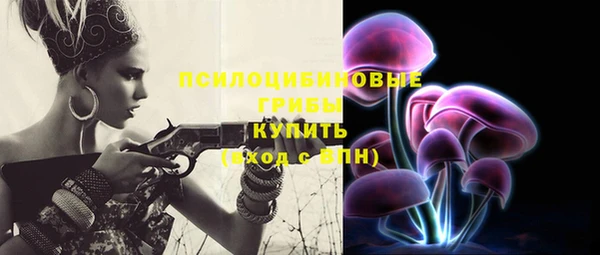молекула духа Балахна